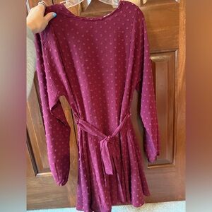She + Sky Maroon Textured Dress